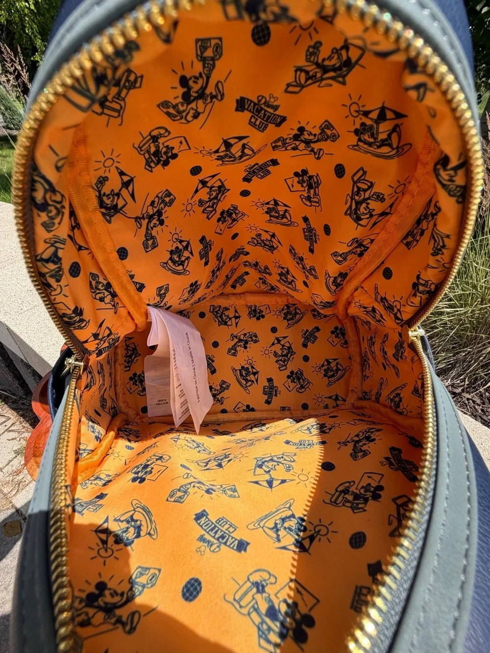 Loungefly Disney Vacation Club DVC 30th Anniversary Backpack EUC